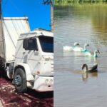 🚨Caminhão ‘Pinta’ Rio de Azul e Patos Viram Smurfs em Jundiaí! Veja as Fotos!