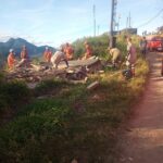 🚨URGENTE: Desabamento Assusta Petrópolis e Crianças Precisam de Ajuda! 💔