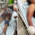 URGENTE! Vovó VIRA HEROÍNA ao Salvar Neta de PIT BULL FEROZ! 😱 A História Que Você PRECISA Ler!