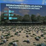 Mata Atlântica em Perigo! Eventos Climáticos Extremos Aceleram Desmatamento!
