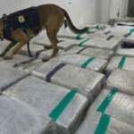 Carga Secreta Revelada! Caminhão Frigorífico Escondia 3 Toneladas de Maconha na Dutra! 😱