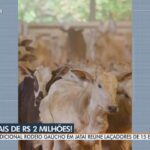 😲Aos 20 Anos, Ele Já Ganhou + de 100 CARROS Laçando!😱 Vc Não Vai Acreditar!