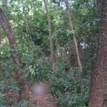 Urgente! Jovem é Encontrado Morto em MG: Rio Piracicaba Guarda Segredo Chocante!