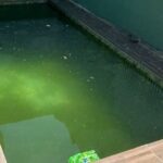 💔 Tragédia! Bebê de 1 Ano Encontrado Morto em Piscina: Detalhes Chocam o Sertão!
