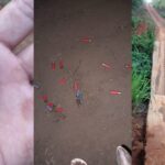 Ataques Chocantes no Pará: Indígenas Aterrorizados e o Governo Corre Contra o Tempo!