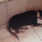 Você Não Vai Acreditar no que Aconteceu com Esse Cachorro em Parnaíba!