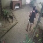 🔥 Noronha em Choque: Delegado Envolvido em Tiroteio! O Que Aconteceu?