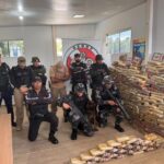 Cão ‘Herói’ Fareja Quase Meia Tonelada de Drogas em Ação Surpreendente no Marajó! 😱🐶