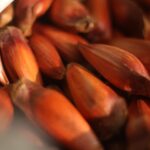 Pinhão Mania: 4 Receitas Inovadoras para Saborear o Tesouro do Paraná! 😱