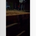 💔 VÍDEO CHOCANTE: Jovem espanca cachorro até a morte e revolta a internet! 😭