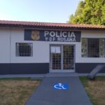 💣 Leilões Online: A Verdade Chocante Que Ninguém Te Conta! 😱