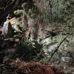 Caminhão Despenca de Ponte e Causa Tragédia: Detalhes Chocantes Revelados!