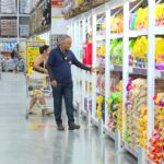 👵👴 A INCRÍVEL Revolução da ‘Geração Prateada’ no Mercado de Trabalho! Prepare-se Para se Surpreender!