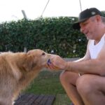 🤯 Essa Pousada INVERTEU TUDO! Descubra o Paraíso Pet que Fatura Milhões (Humanos São Opcionais!) 🐶