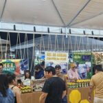 Mel Milagroso do Acre! Descubra o Segredo que Está Adoçando Vidas e Salvando o Planeta na Expoacre 2025!