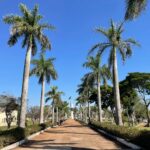 Alerta Vermelho: Clima de Deserto Chega a SP! Descubra Como Se Proteger!