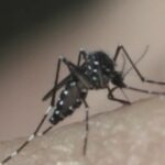 URGENTE: Dengue em Bebês é 3x Mais Perigosa! 🚨 Sinais Que Você NÃO Pode Ignorar!