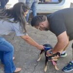 Leishmaniose Ameaça Prudente! Prepare-se para a Semana de Prevenção!