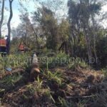 URGENTE: Tragédia na Estrada! Acidente Choca Rio Claro e Deixa Vítimas!