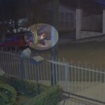 Roda Assassina Ataca Mãe e Filha! Você Não Vai Acreditar no Que Aconteceu!