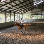 Cavalos de Corrida: A Chave INESPERADA para Salvar a SUA Vida! 😱🐎