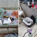💣 Festa Bomba! Adolescentes em Semiaberto, Drogas e Polícia: O Que Aconteceu Nessa Chácara?! 😱