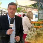 Conta de Luz GRÁTIS? Congresso Corre Contra o Tempo para Aprovar Tarifa Social!