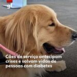 Você Não Vai Acreditar! 😱 O Que Seu Cheiro Corporal Revela Sobre Sua Saúde?