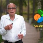 😱 VITAMINAS: O Perigo Escondido na Sua Prateleira! ⚠️ A Verdade Chocante Que Ninguém Te Conta!