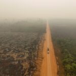 Amazônia no Limite? Estudo Chocante Revela Se Ainda Há Esperança! 😱
