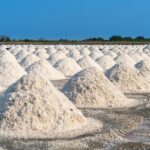 URGENTE: Tarifa de Trump PODE DESTRUIR economia do RN! 😱 Descubra o plano SECRETO para evitar o pior!