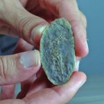 🤯 Peixe BIZARRO Descoberto Congelado na Antártica! Cientistas CHOCADOS com o Que Encontraram!