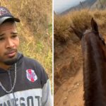 😱 Cavalo Mutilado Após Exaustão: O Que a Polícia Descobriu Vai Te Chocar!