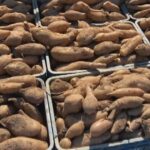 Você Não Vai Acreditar no Sabor DESSA Batata! (E Ainda Faz Bem Pra Saúde!)