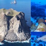 😱 Cientistas Desvendam Segredos Ocultos no Ponto Mais Remoto do Brasil!