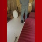 🐍 Cobra Surpreende Hóspedes em Pousada de Ilhabela! Veja o Resgate!