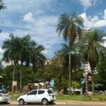 MS no Modo Saara? Fim de Semana de CALOR EXTREMO e Ar Seco AMEAÇA o estado!