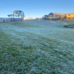 🥶 BRRR! Rio Grande do Sul VIROU ESQUIMÓ às Vésperas da Primavera! 😱 Veja as Imagens!