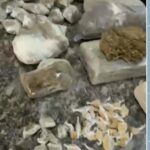 💣Operação ‘Caixa de Esgoto’ Revela Crimes Chocantes e Aterroriza Cidade! 💣