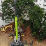 😮 Incrível! Árvore Gigante de 80 Anos Muda de Lugar em Operação Épica! 🌳😱
