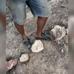 🚨URGENTE: Caseiro é Resgatado em Condições Análogas à Escravidão! Veja os Detalhes Chocantes!