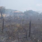 🔥URGENTE: Incêndio Devasta Cerrado no DF! Drones e Bombeiros em Ação Contra o Fogo!