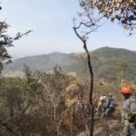 🔥 Alerta Vermelho no Vale do Paraíba! Incêndios Fora de Controle Ameaçam a Região!